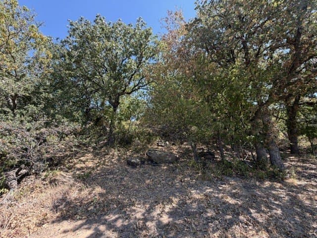 0.37 acres in Montague County - photo 11