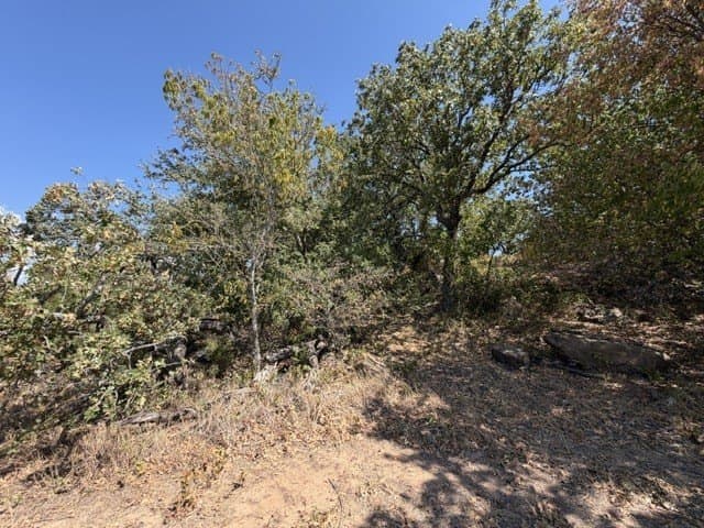 0.37 acres in Montague County - photo 12