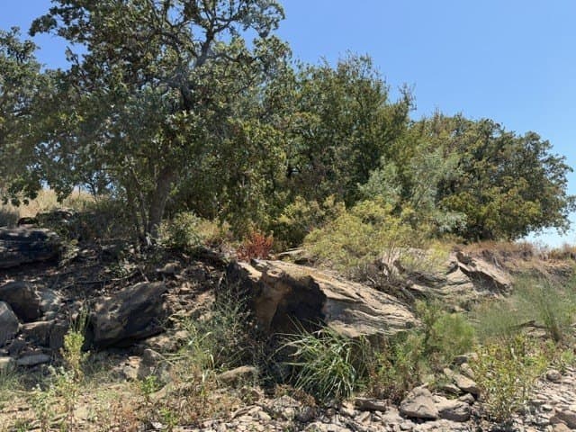 0.37 acres in Montague County - photo 7