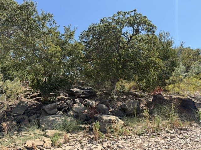 0.37 acres in Montague County - photo 6