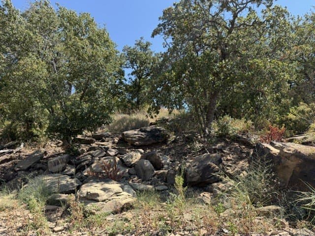 0.37 acres in Montague County - photo 8