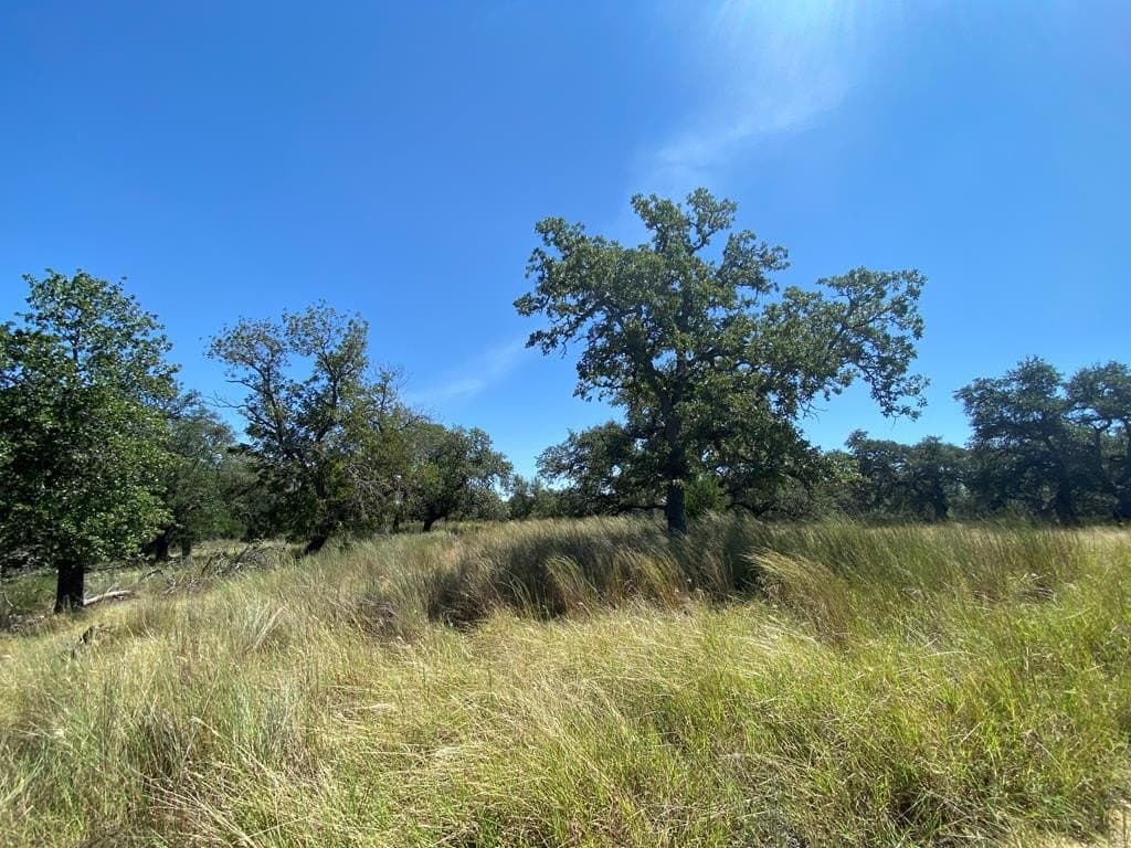 24.99 acres in Kerr County featured view