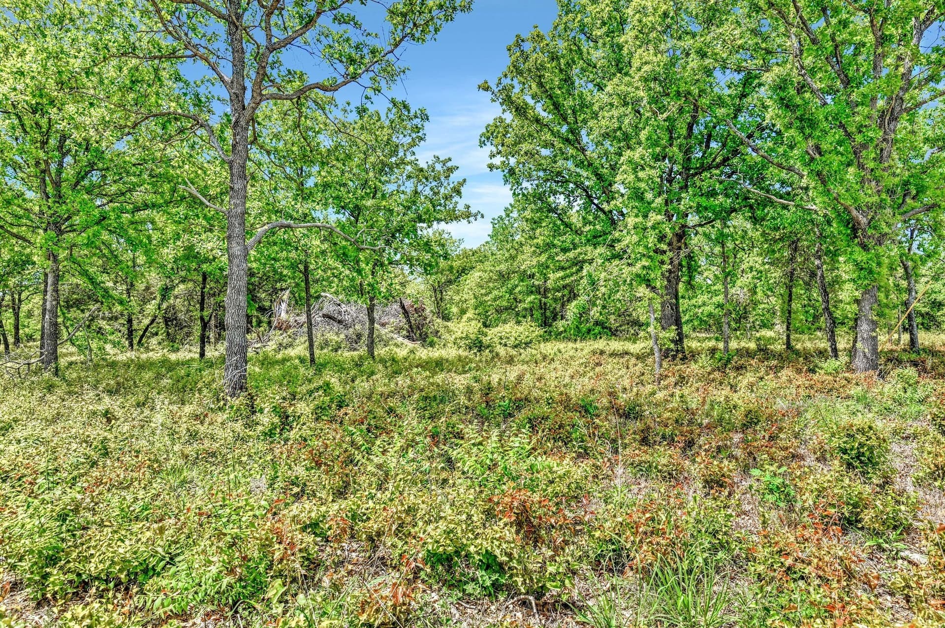 5.22 acres in Montague County - photo 7