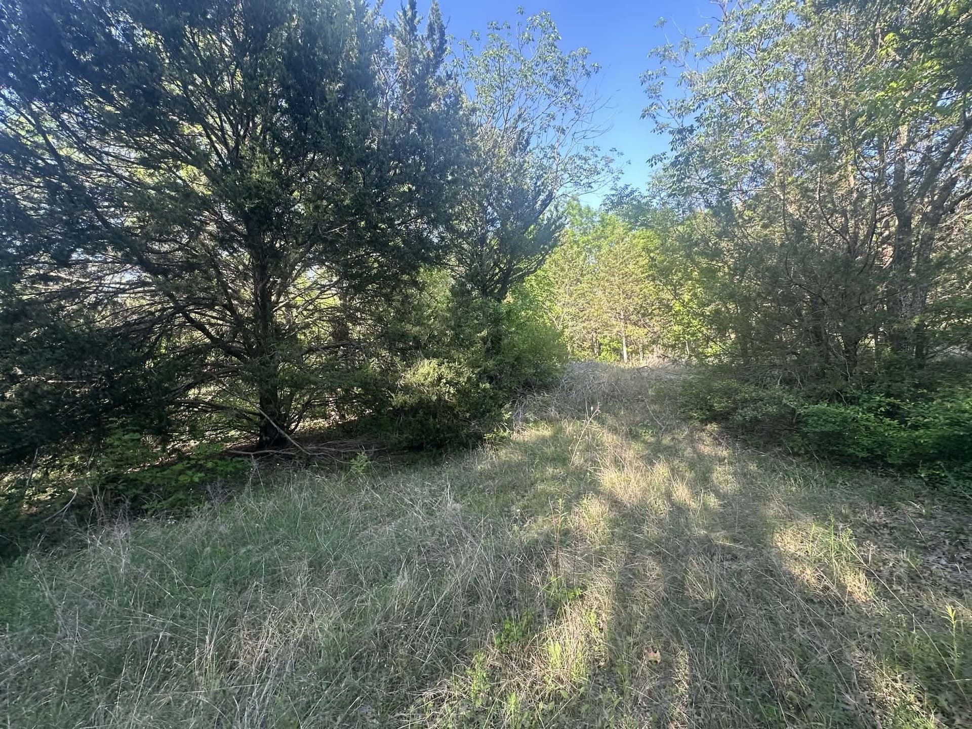 2.38 acres in Dallas County gallery image 4