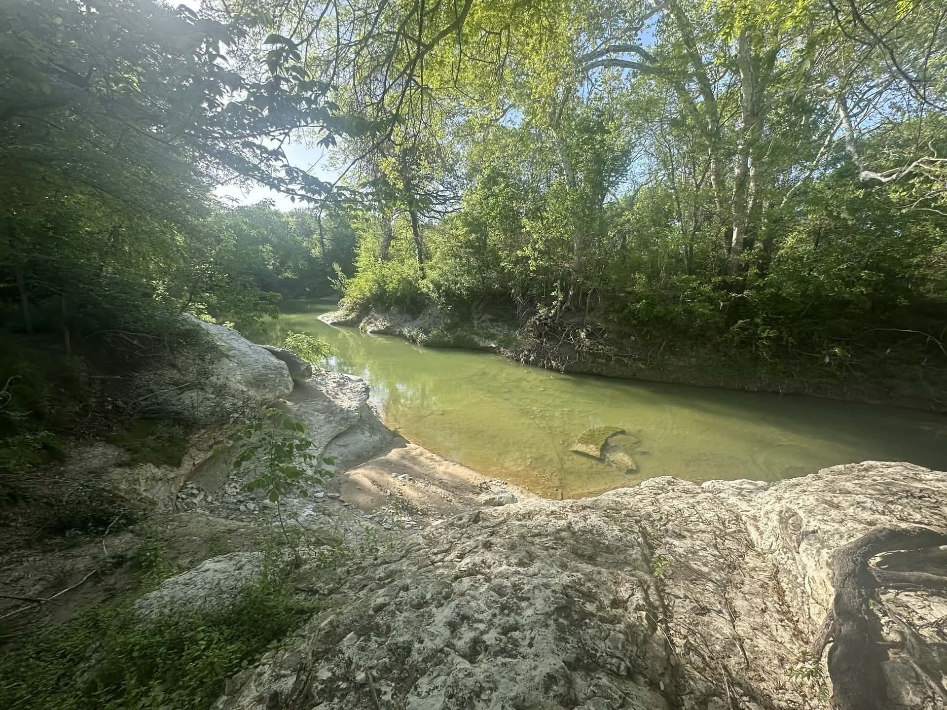 2.38 acres in Dallas County - photo 6