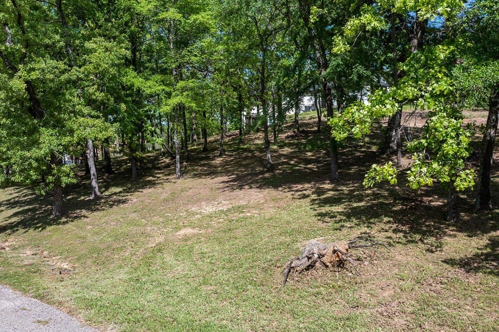 1.1 acres in Henderson County - photo 14