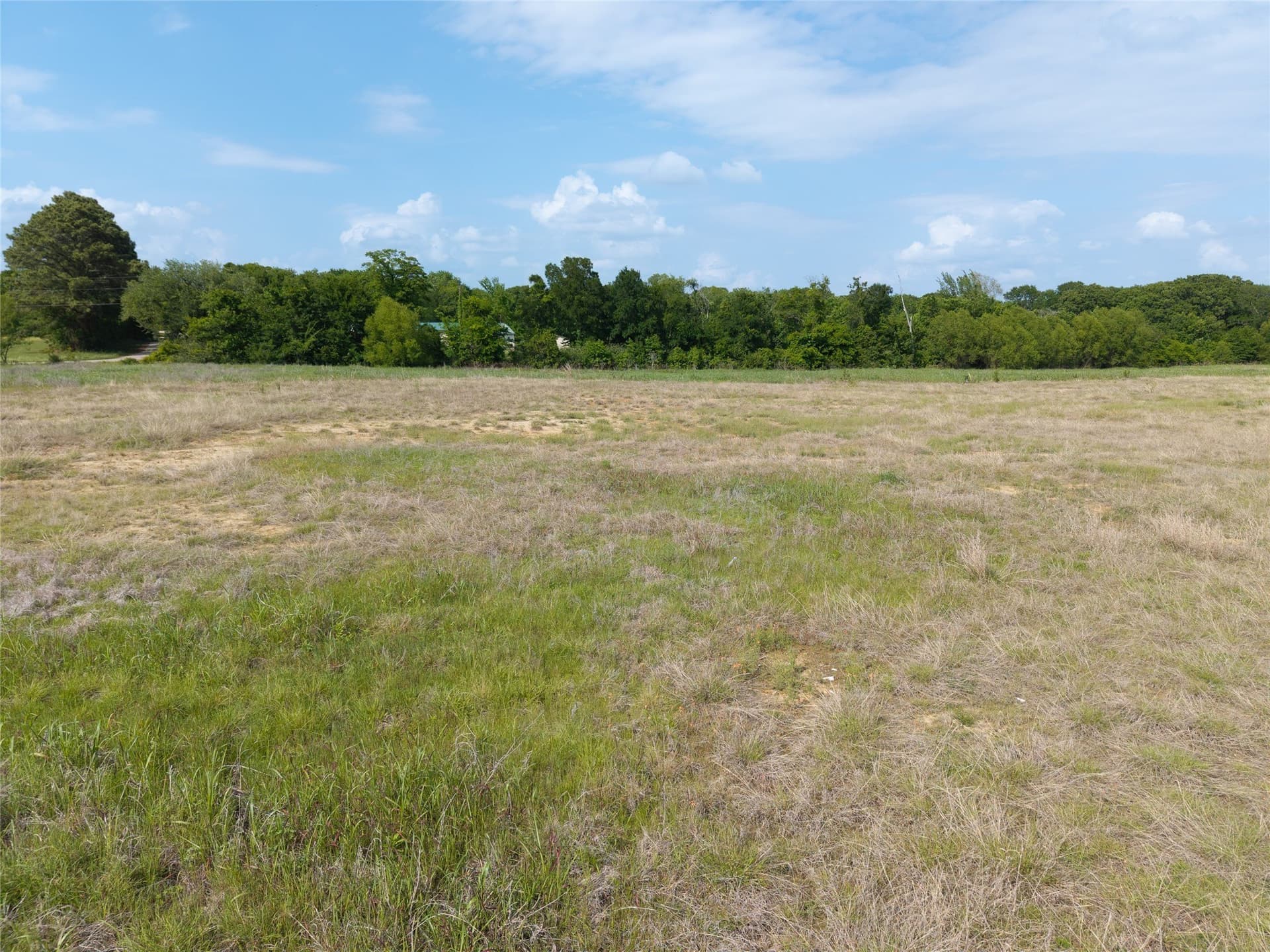 1 acres in Henderson County - photo 7