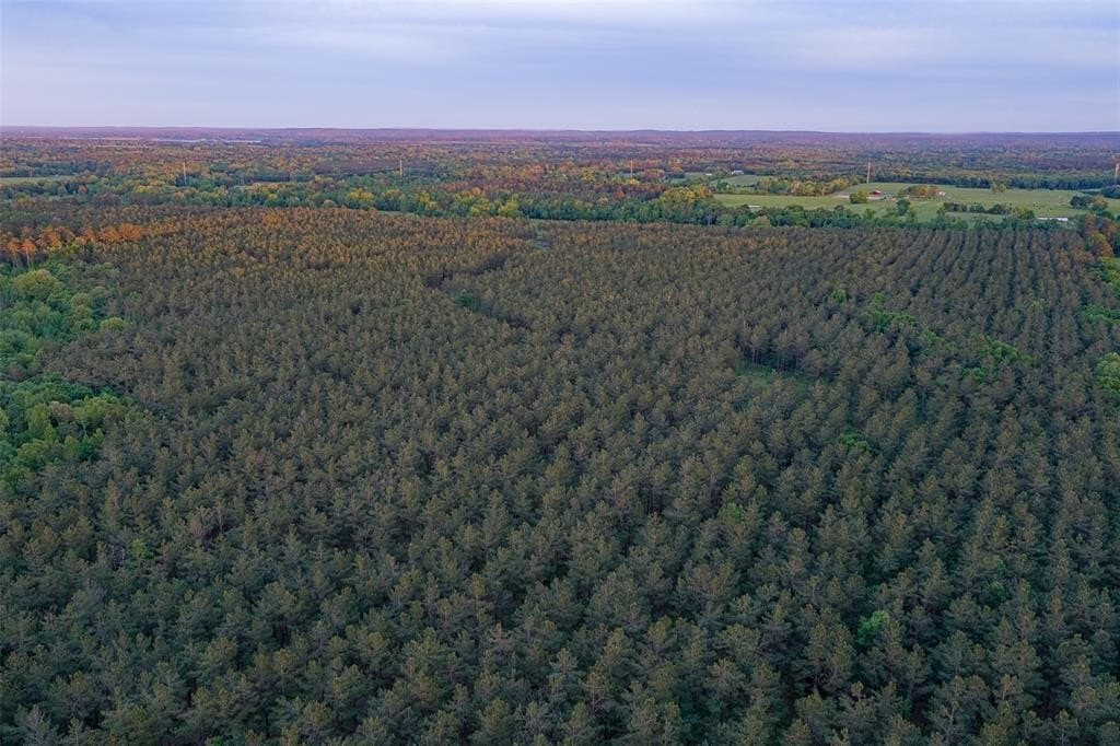 150 acres in Panola County
