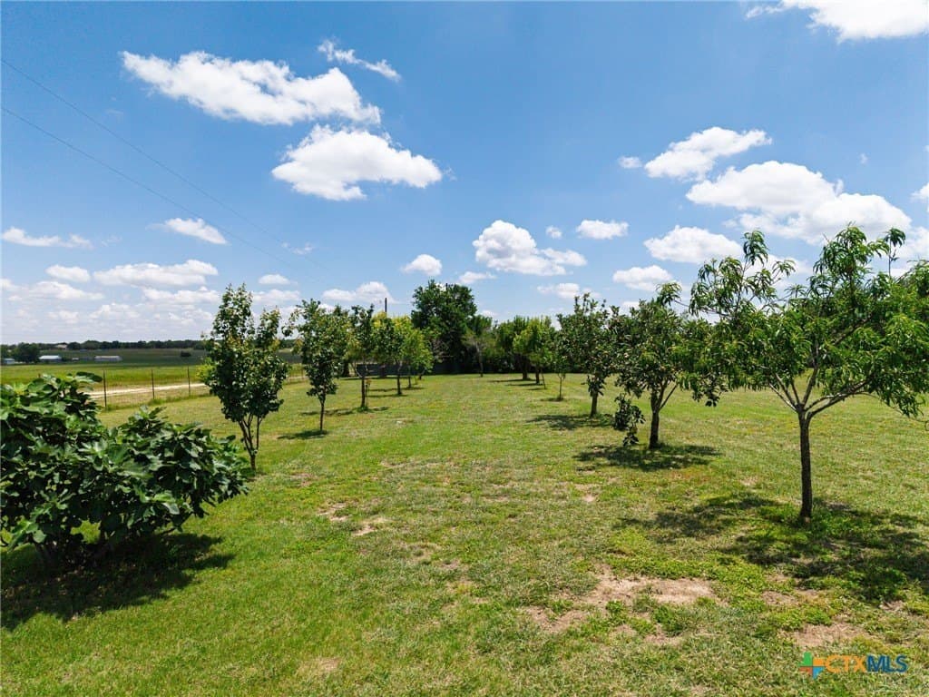 18.5 acres in Williamson County - photo 26