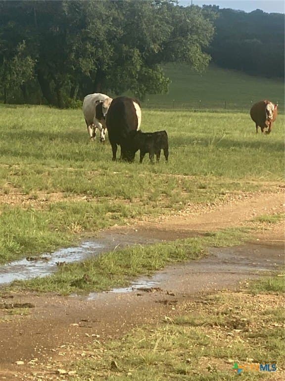 20.04 acres in Burnet County featured view