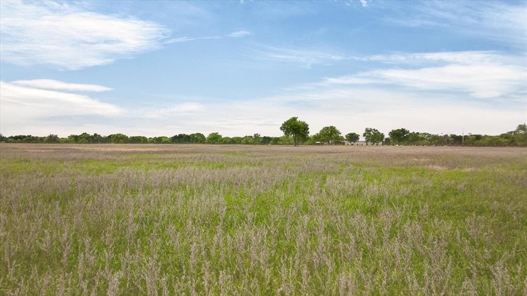 15.01 acres in Palo Pinto County gallery image 4