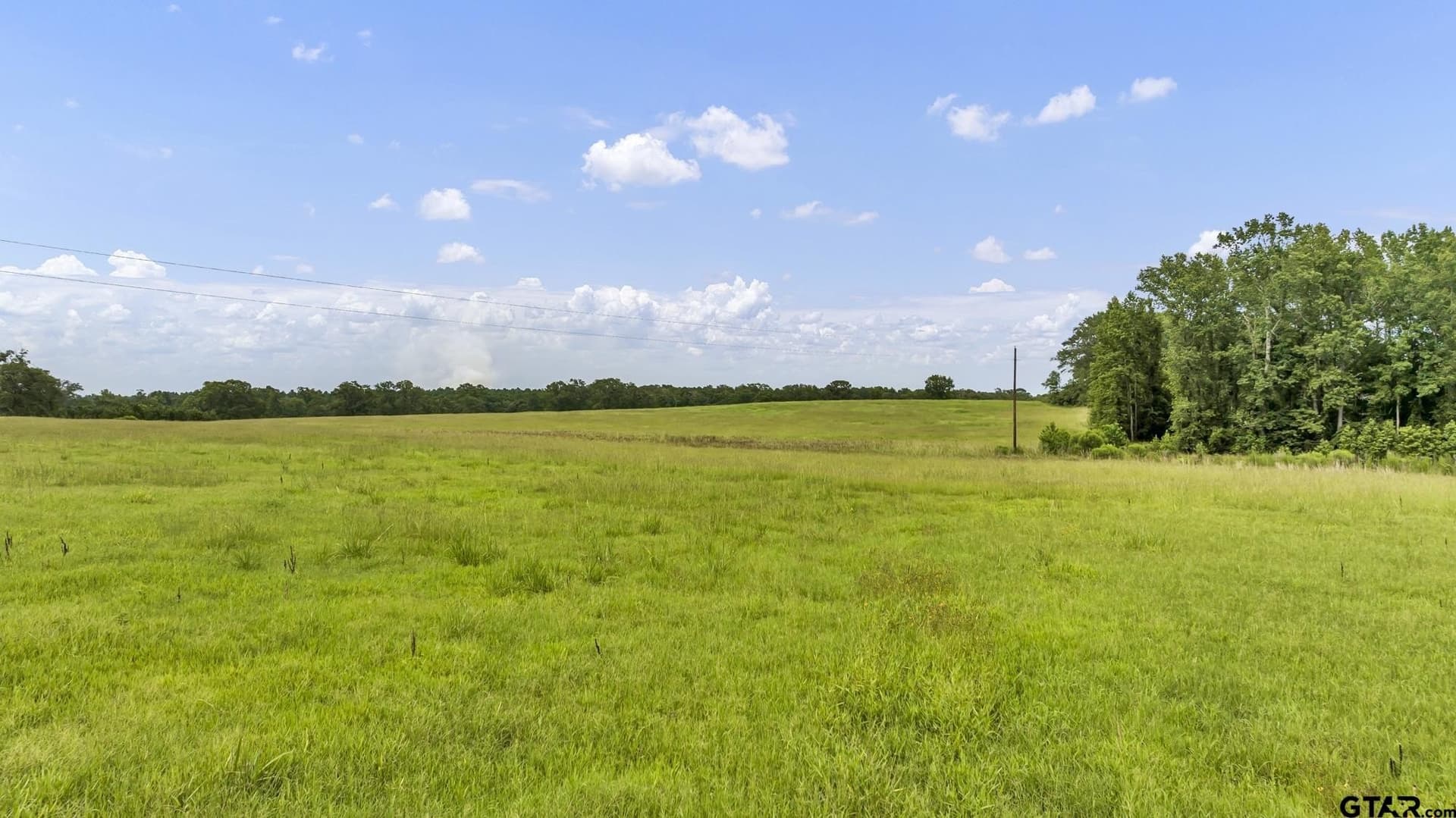 93.98 acres in Panola County - photo 5