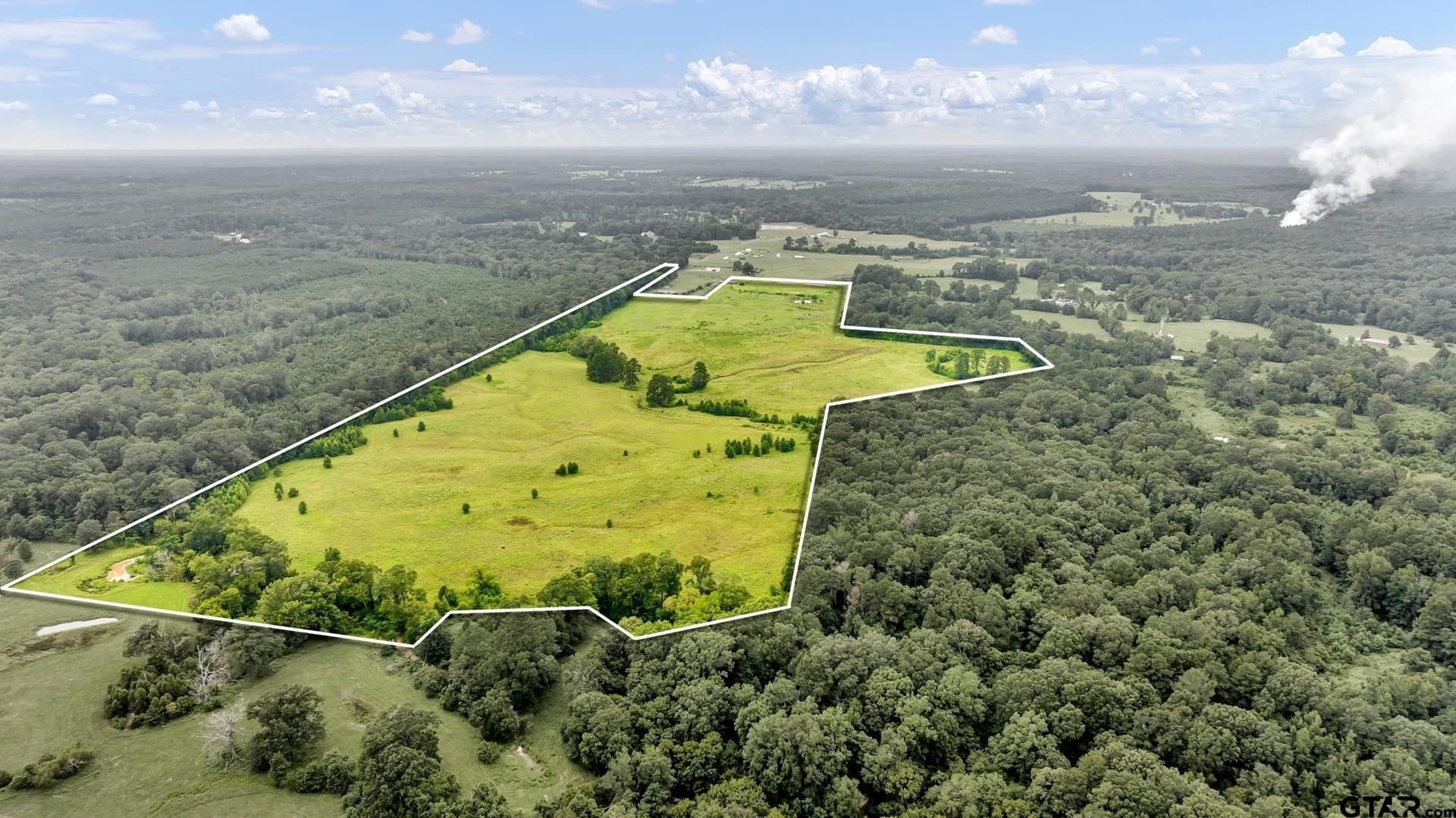 93.98 acres in Panola County - photo 4