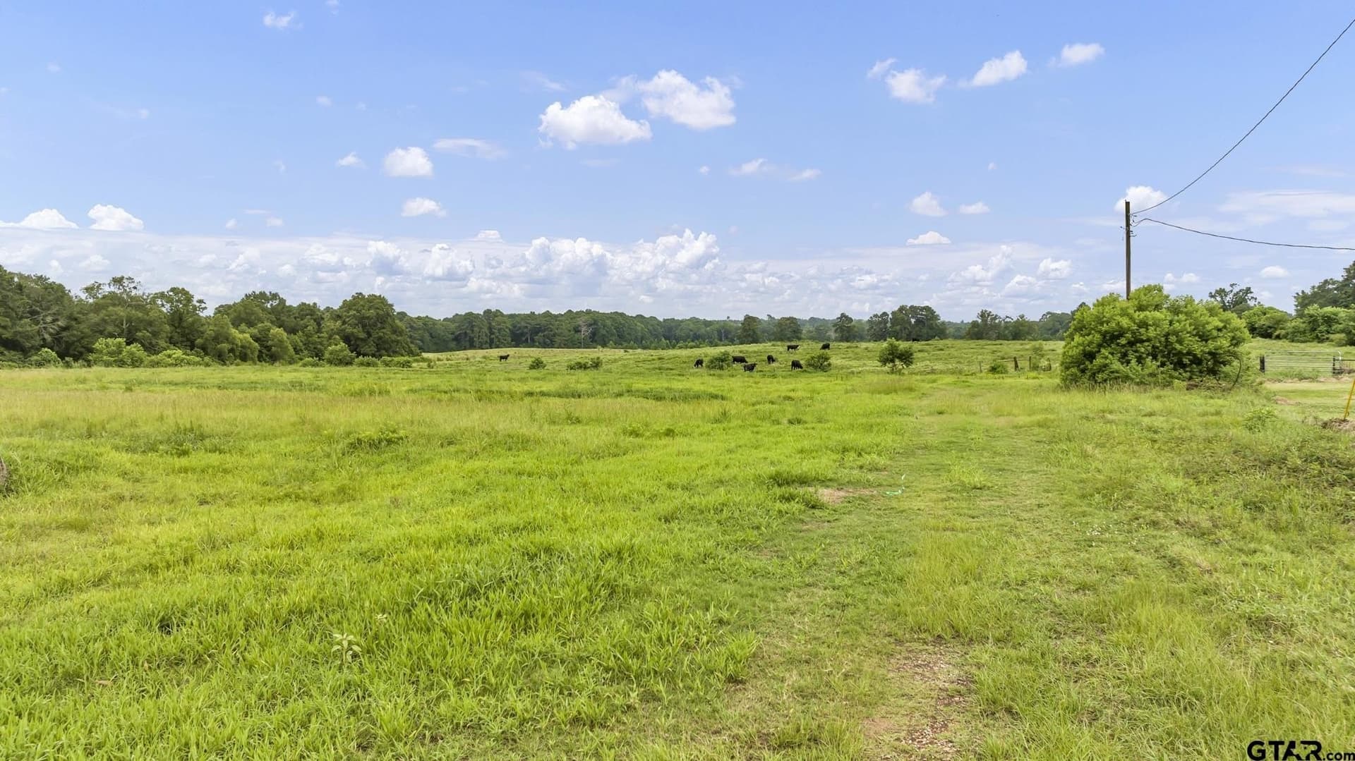93.98 acres in Panola County - photo 19