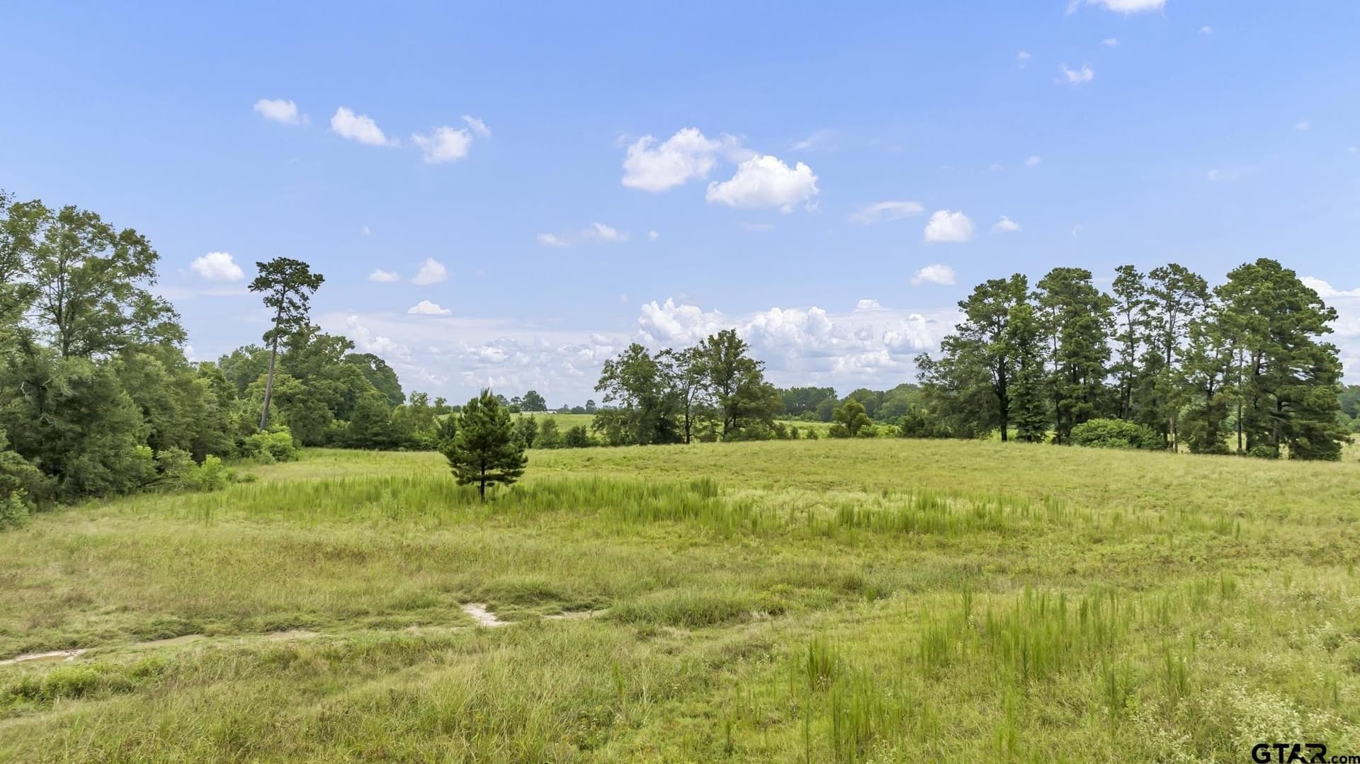 93.98 acres in Panola County - photo 9