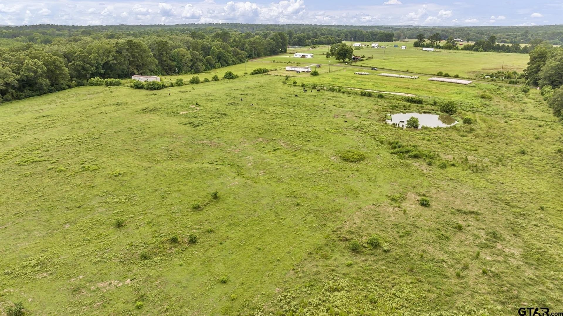 93.98 acres in Panola County - photo 14