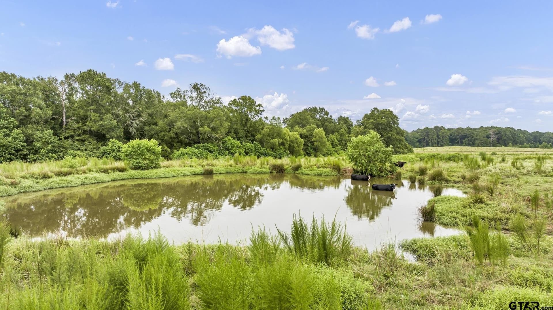 93.98 acres in Panola County - photo 22
