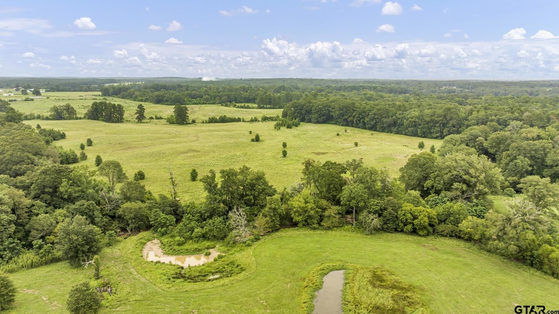 93.98 acres in Panola County - photo 6