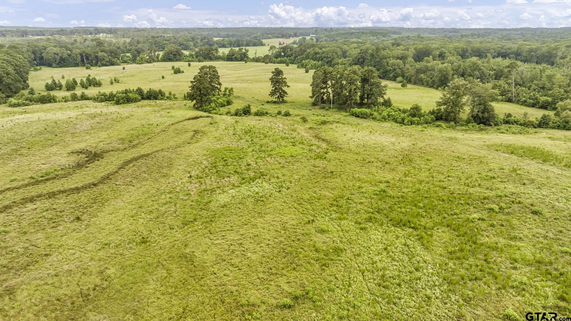 93.98 acres in Panola County - photo 13