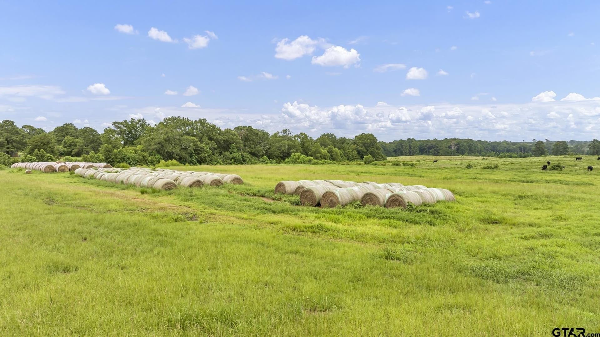93.98 acres in Panola County - photo 18