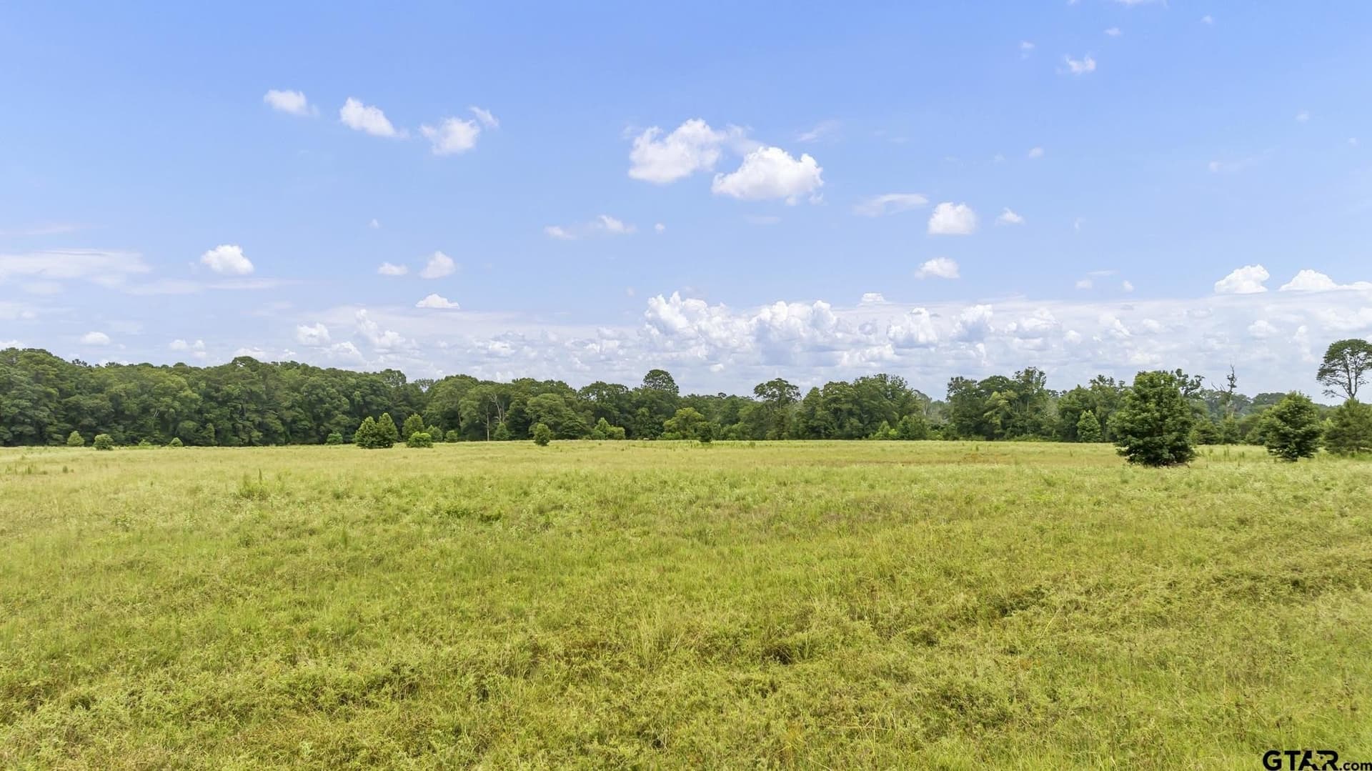 93.98 acres in Panola County - photo 8