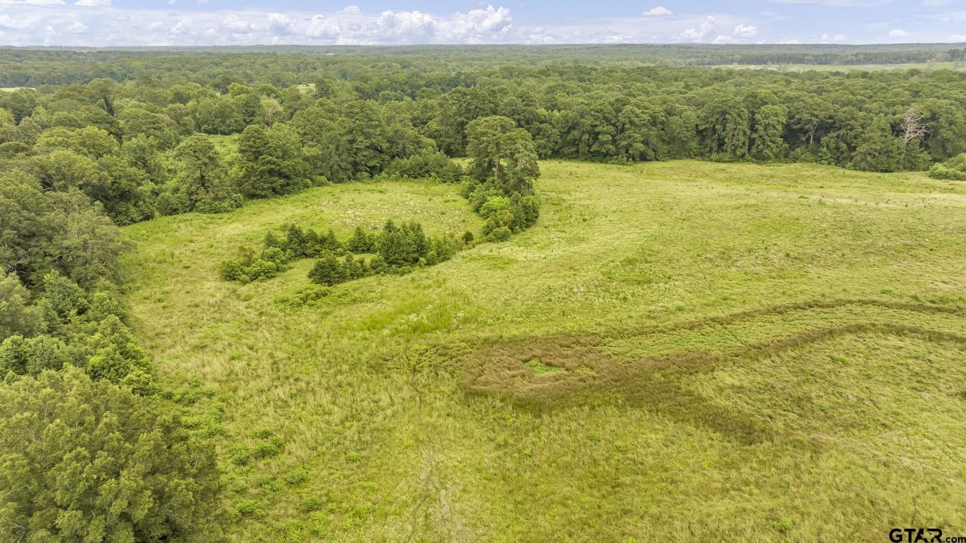 93.98 acres in Panola County - photo 12