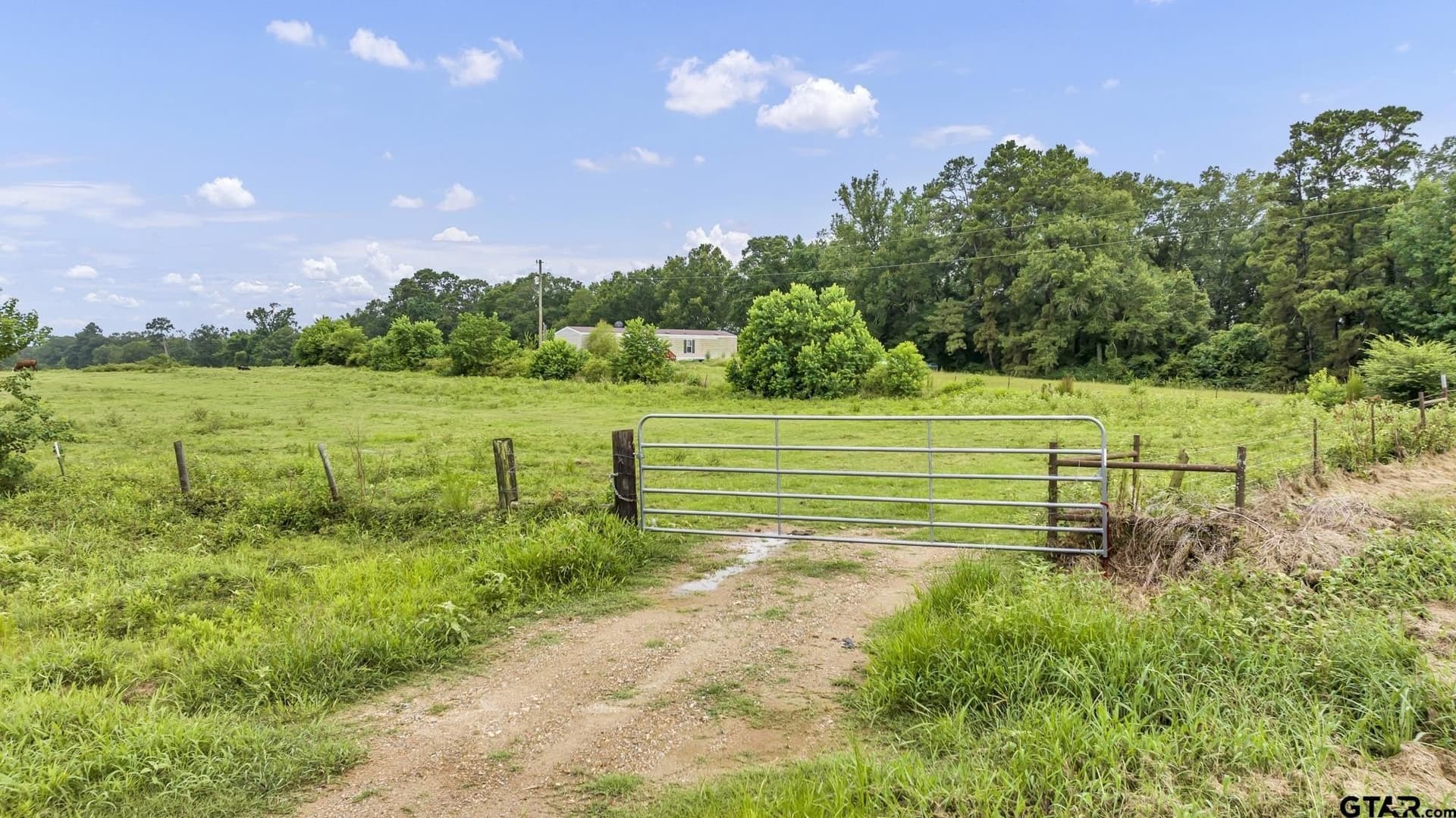 93.98 acres in Panola County - photo 20