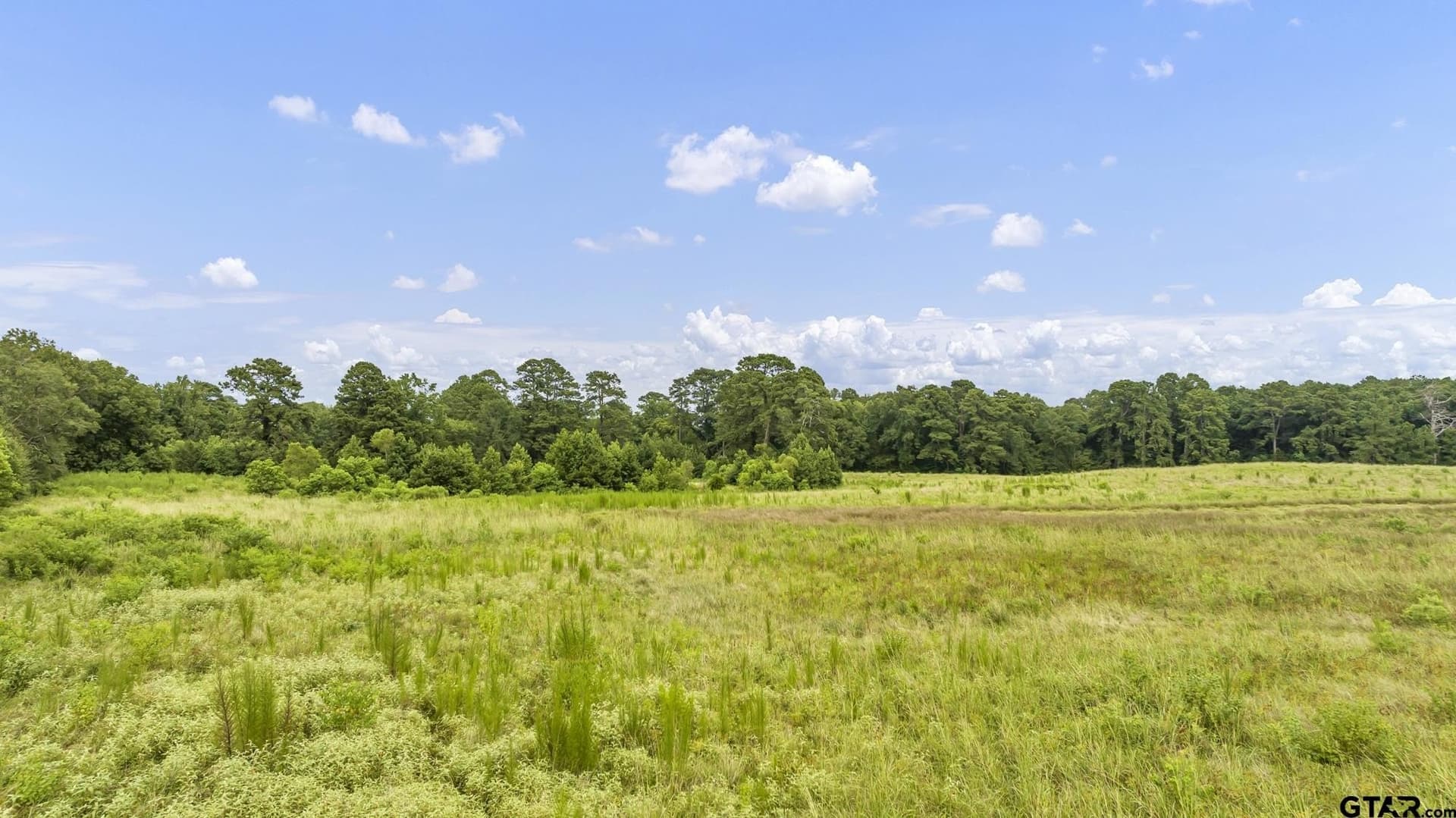 93.98 acres in Panola County - photo 11