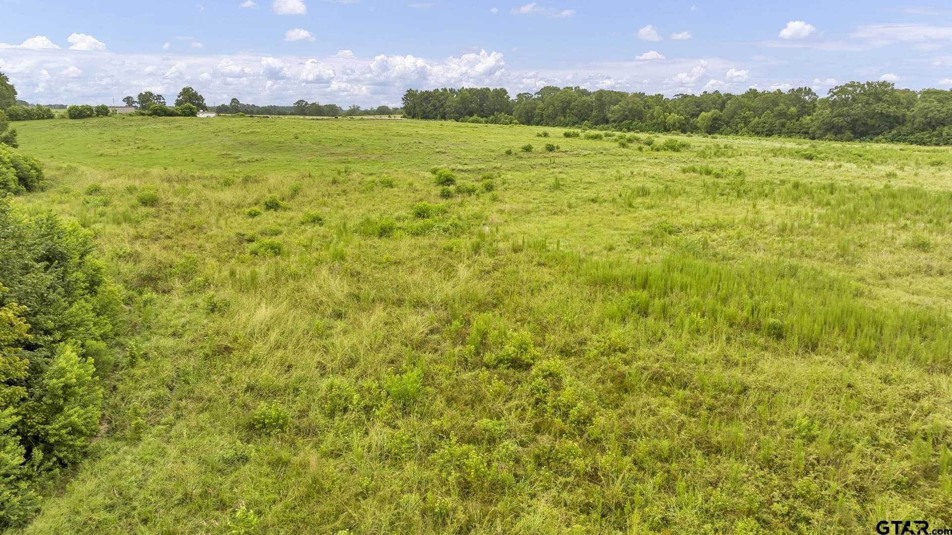 93.98 acres in Panola County - photo 15