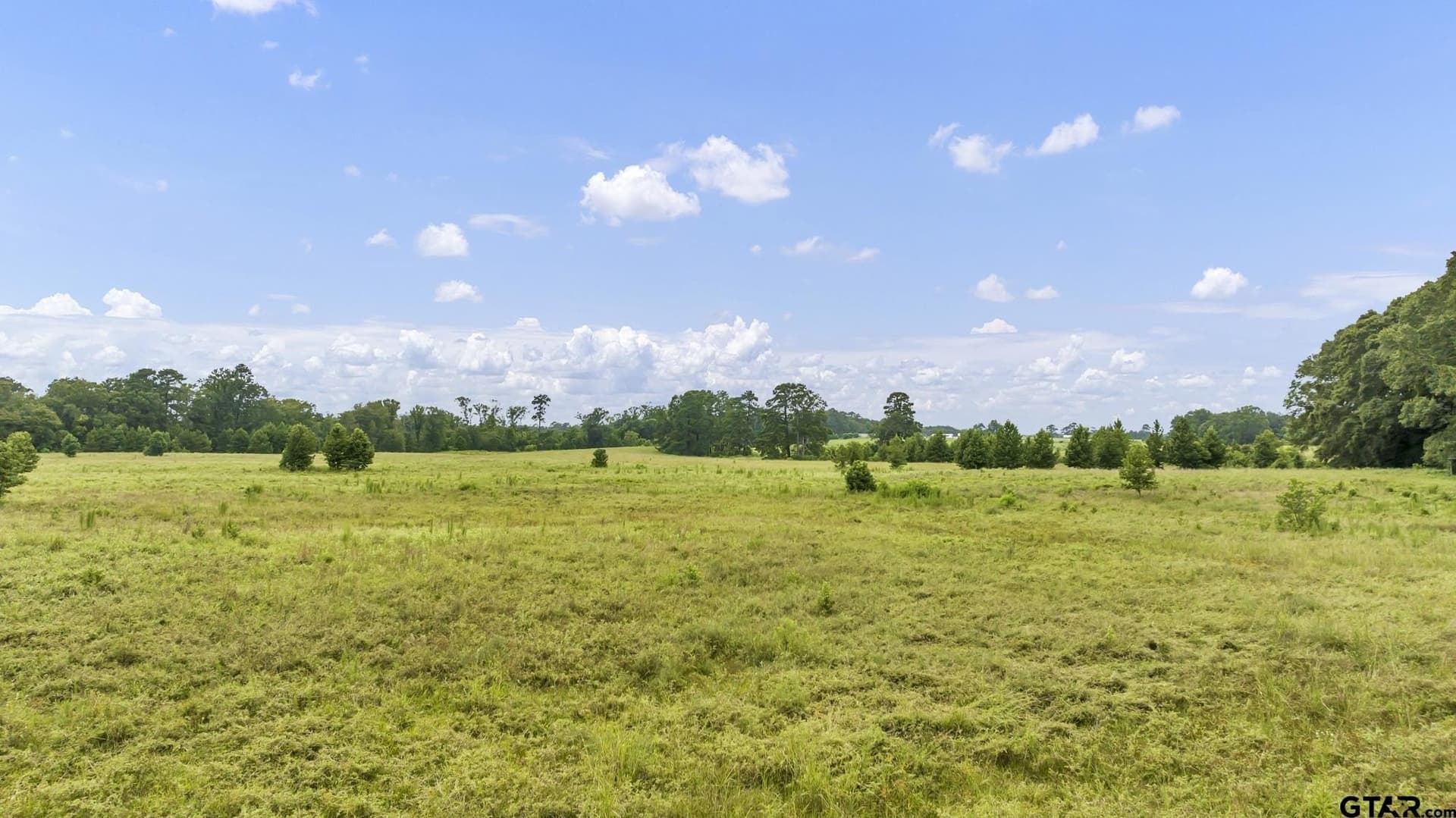 93.98 acres in Panola County - photo 7