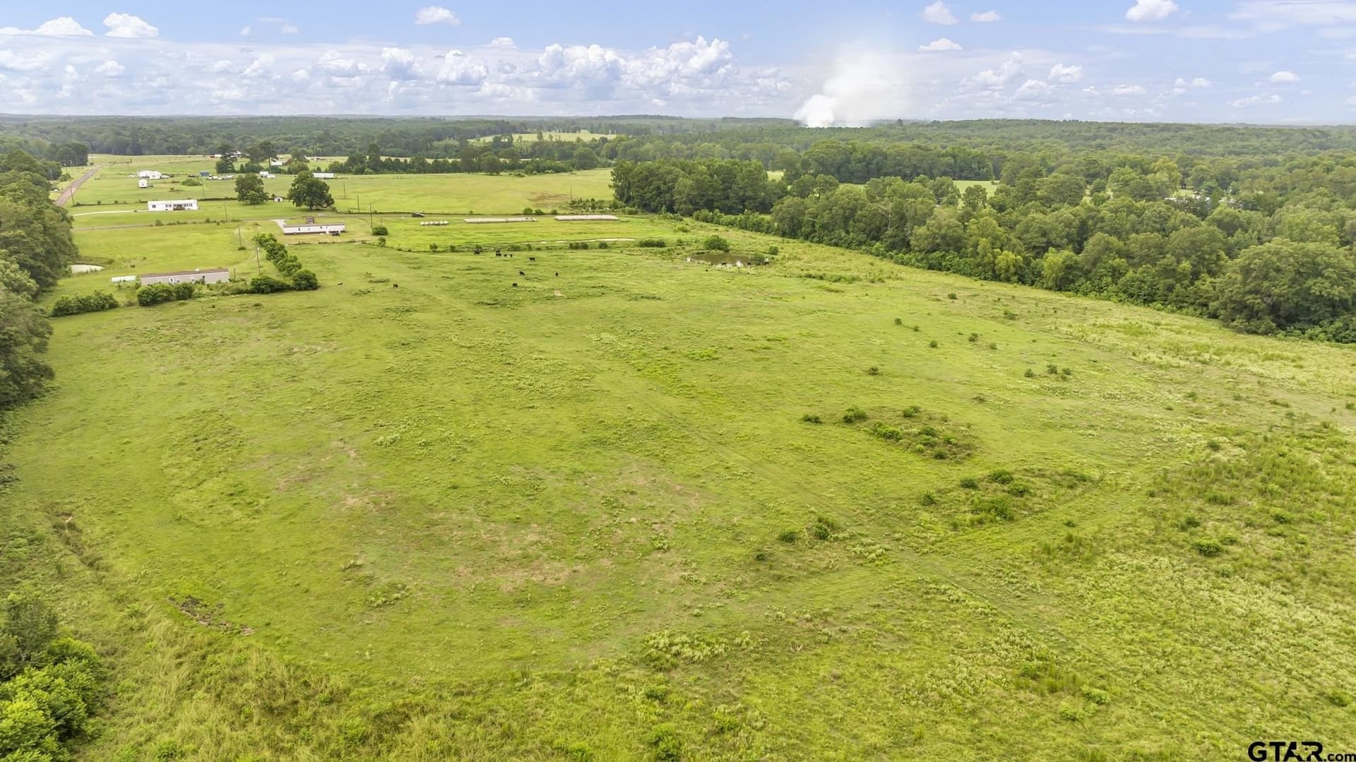 93.98 acres in Panola County - photo 16