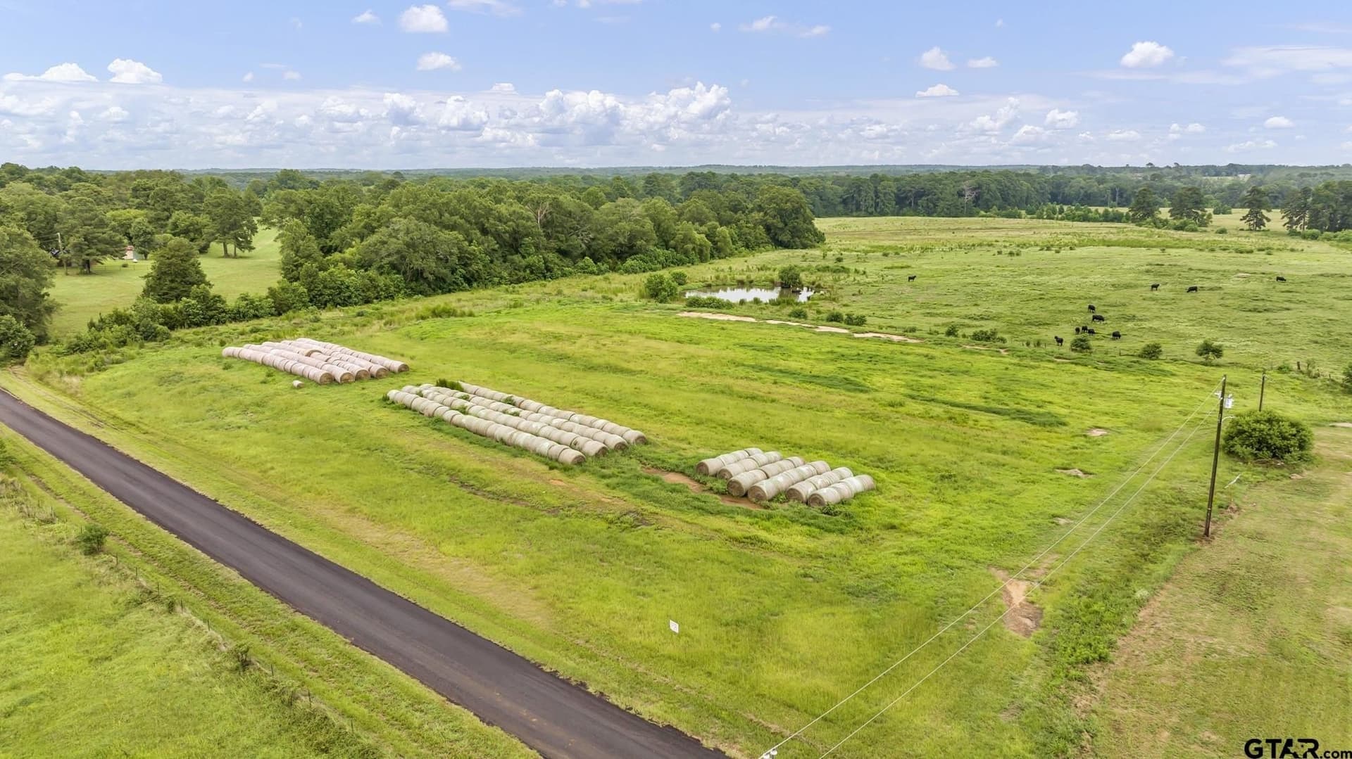 93.98 acres in Panola County - photo 17