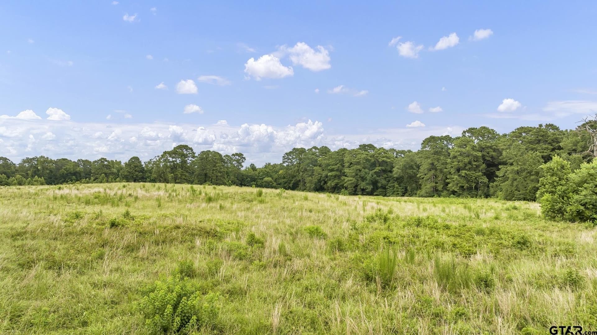 93.98 acres in Panola County - photo 10