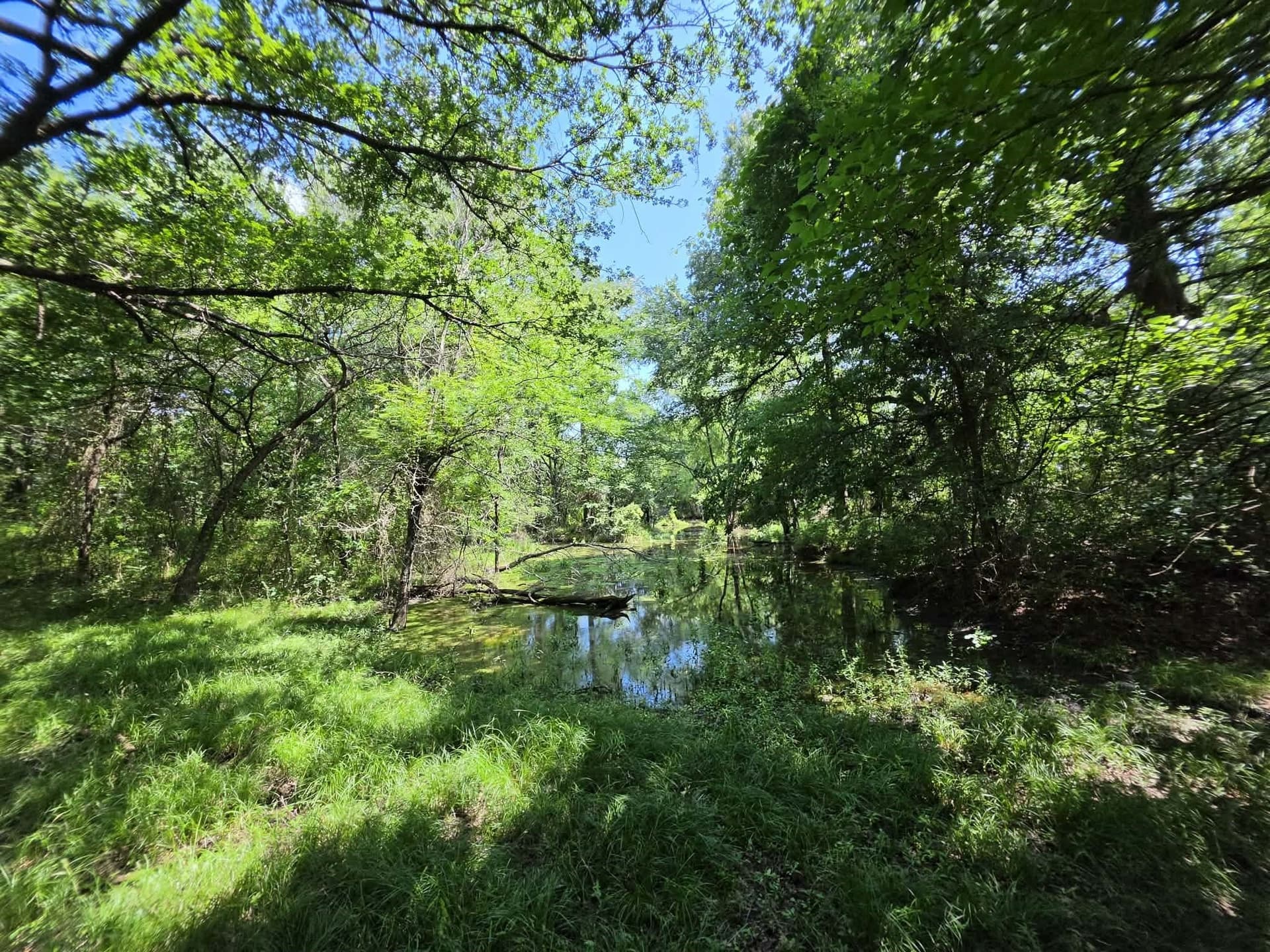 32.24 acres in Fannin County - photo 31