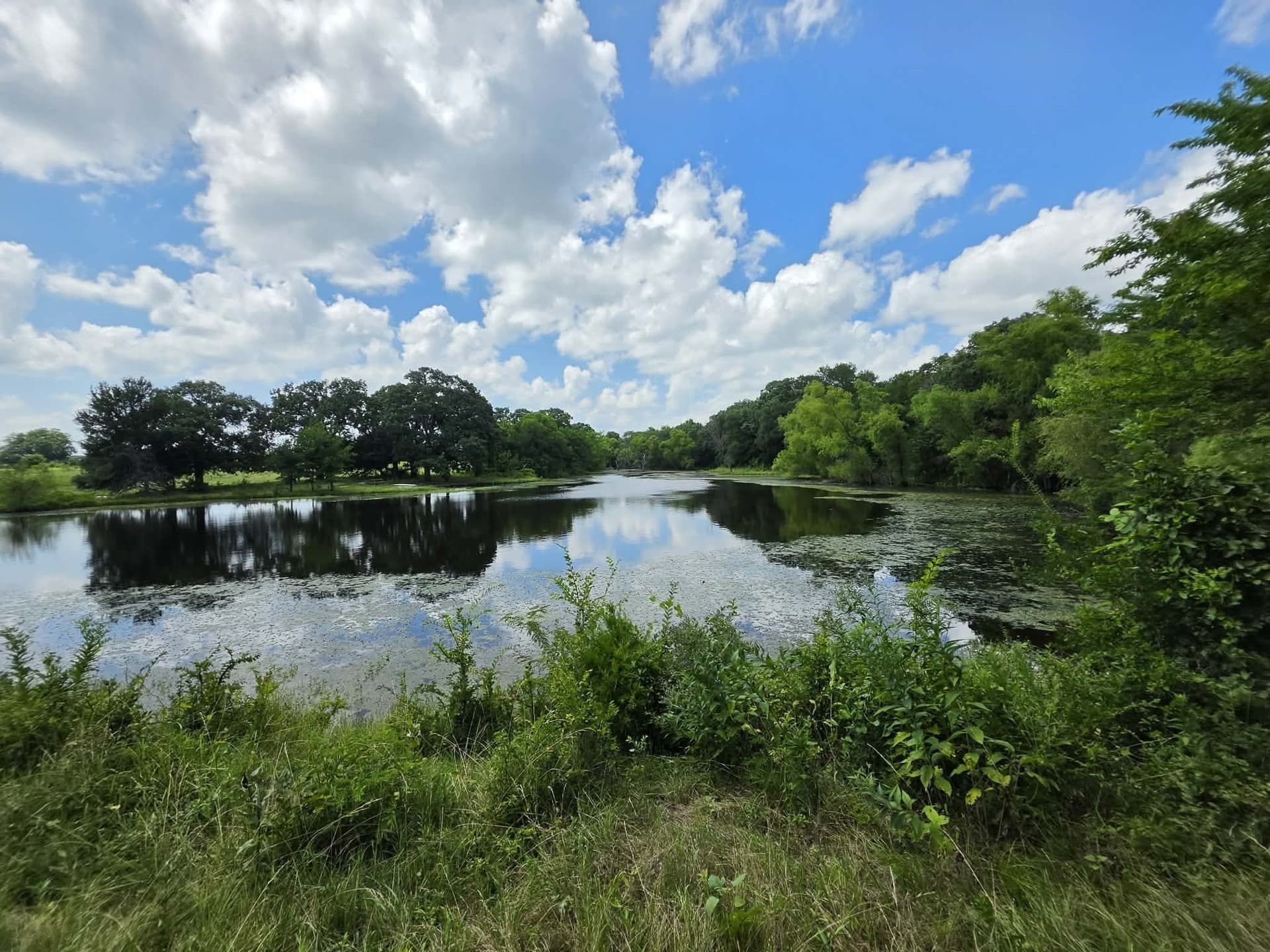 32.24 acres in Fannin County - photo 17