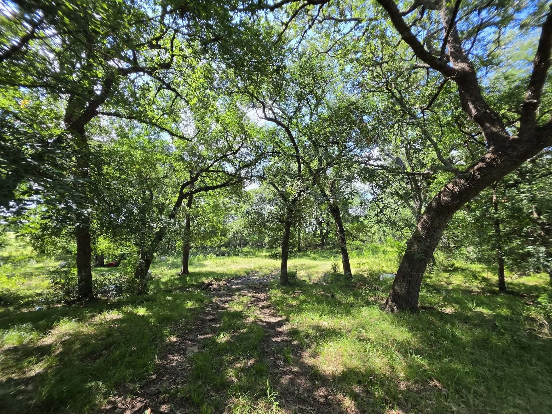 32.24 acres in Fannin County - photo 29
