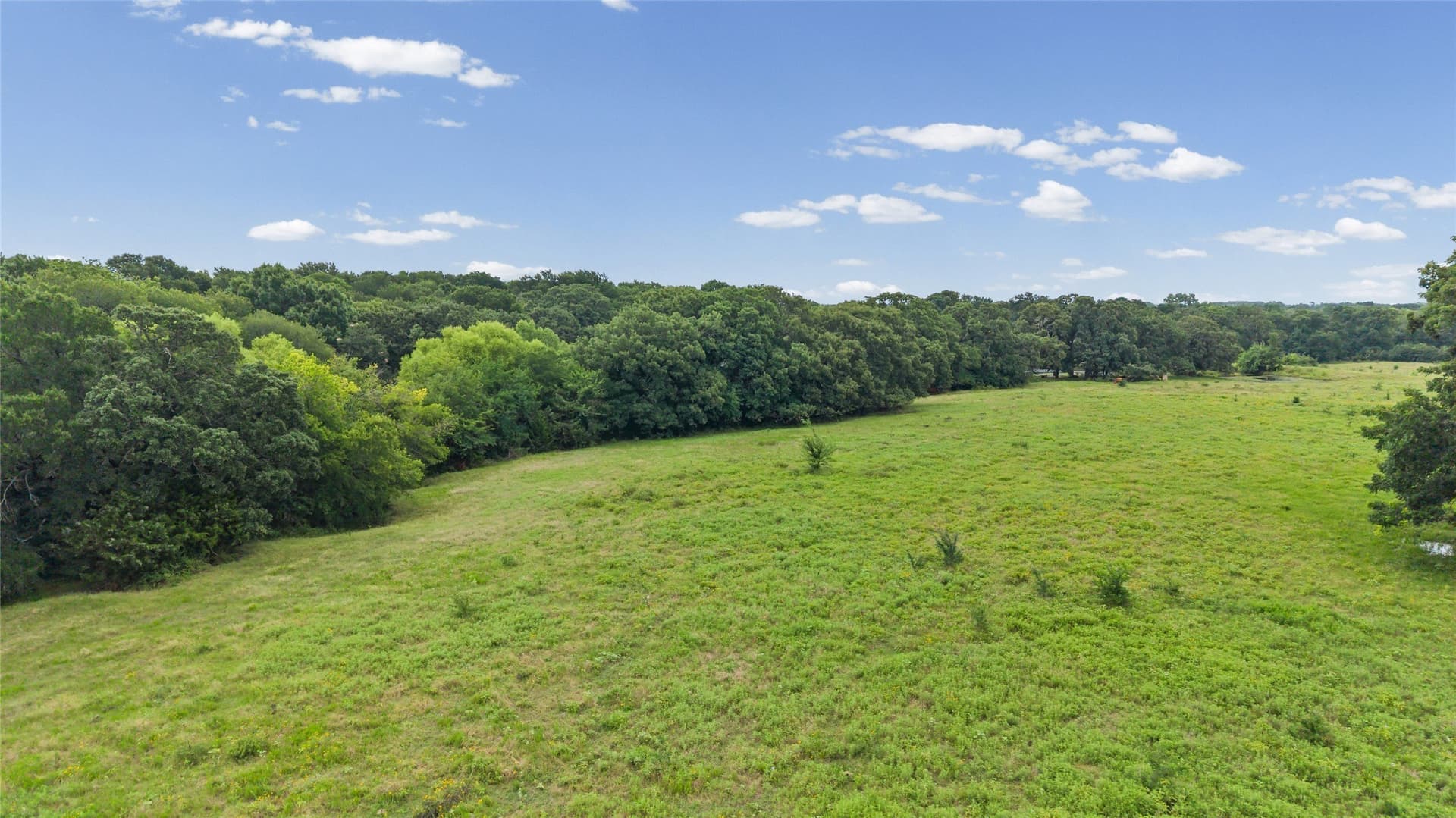 32.24 acres in Fannin County - photo 25
