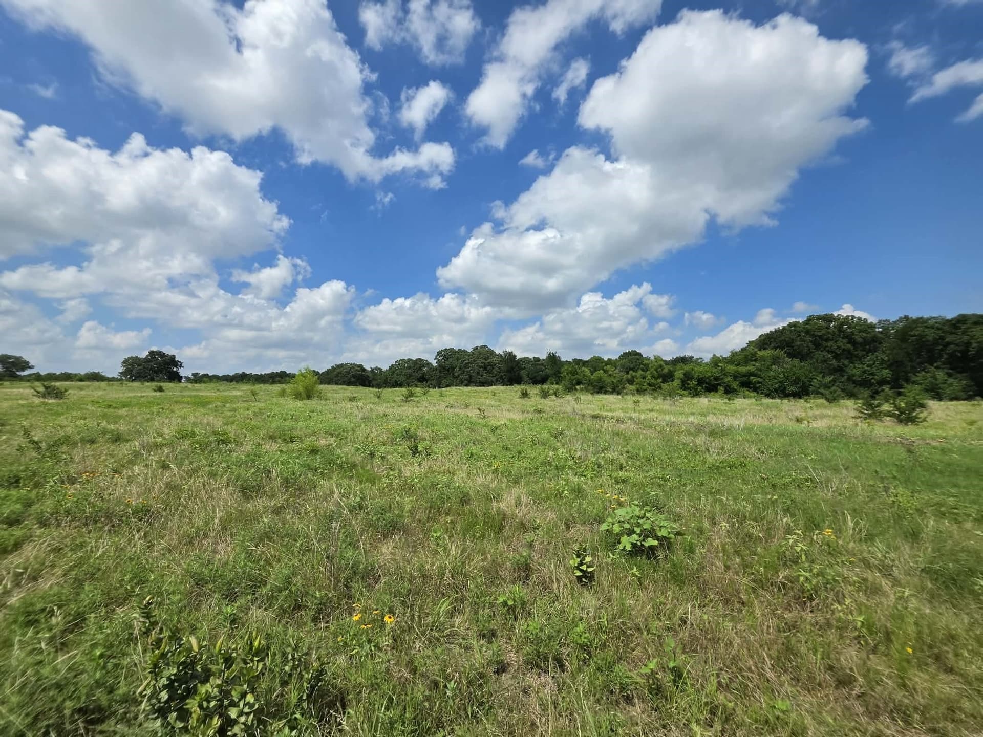32.24 acres in Fannin County - photo 26