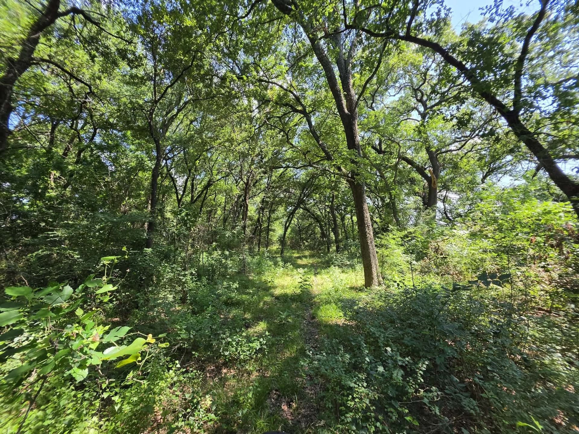 32.24 acres in Fannin County - photo 32