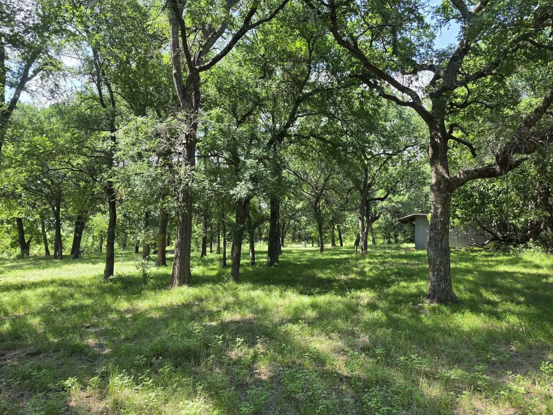 32.24 acres in Fannin County - photo 30