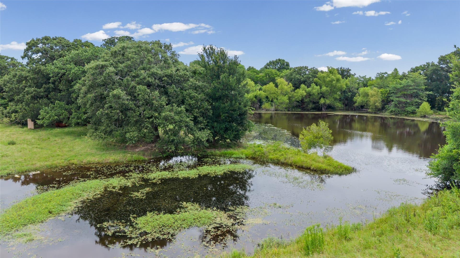 32.24 acres in Fannin County gallery image 2