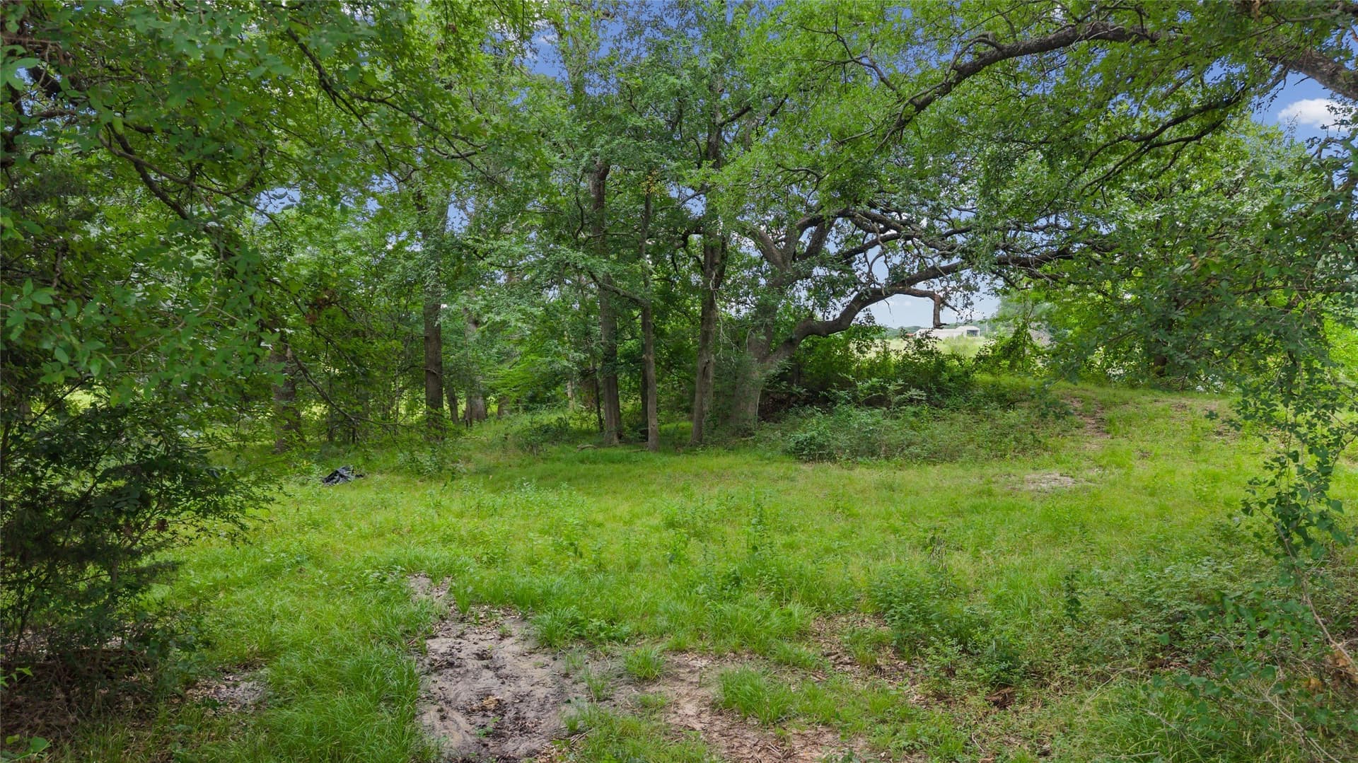 32.24 acres in Fannin County - photo 27
