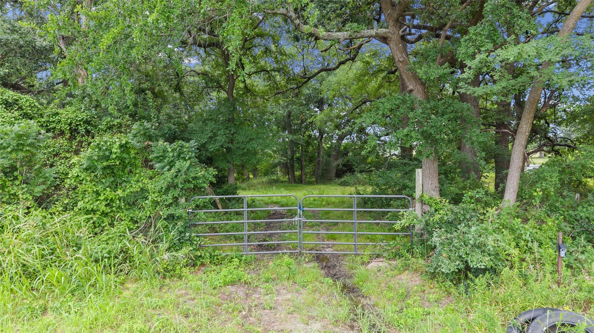 32.24 acres in Fannin County - photo 28