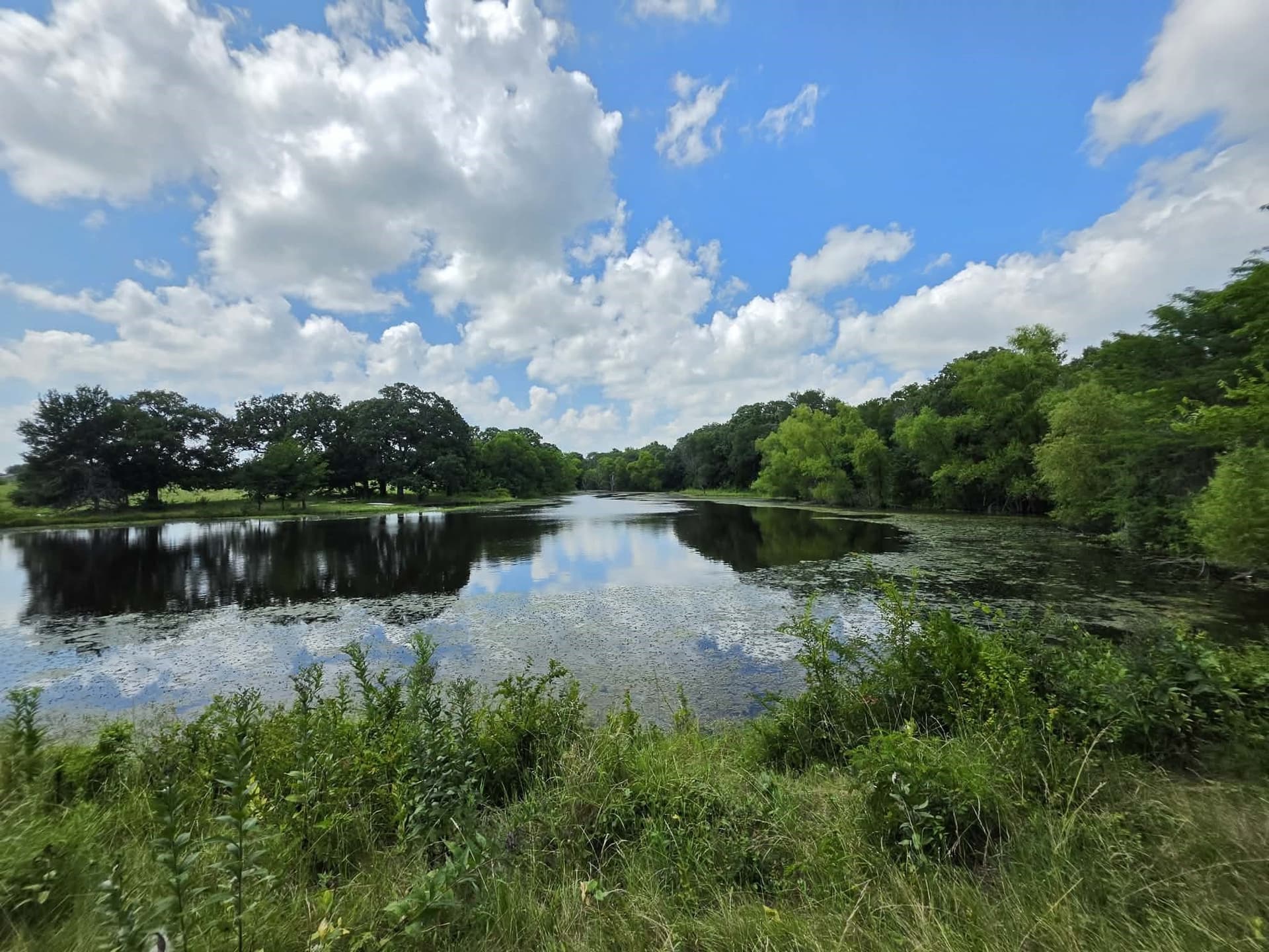32.24 acres in Fannin County gallery image 3