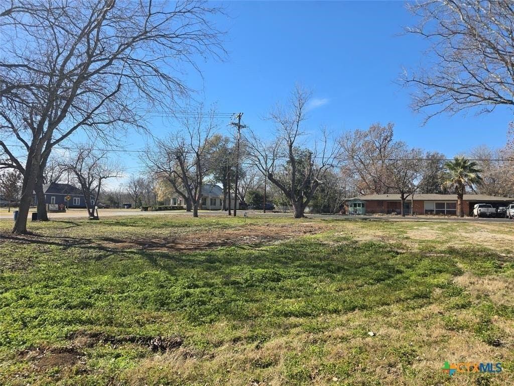 0.34 acres in Bastrop County gallery image 4
