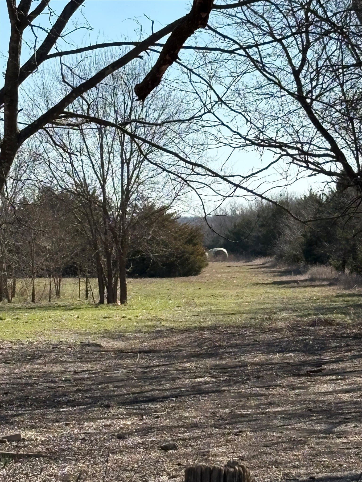 10.11 acres in Hunt County - photo 9