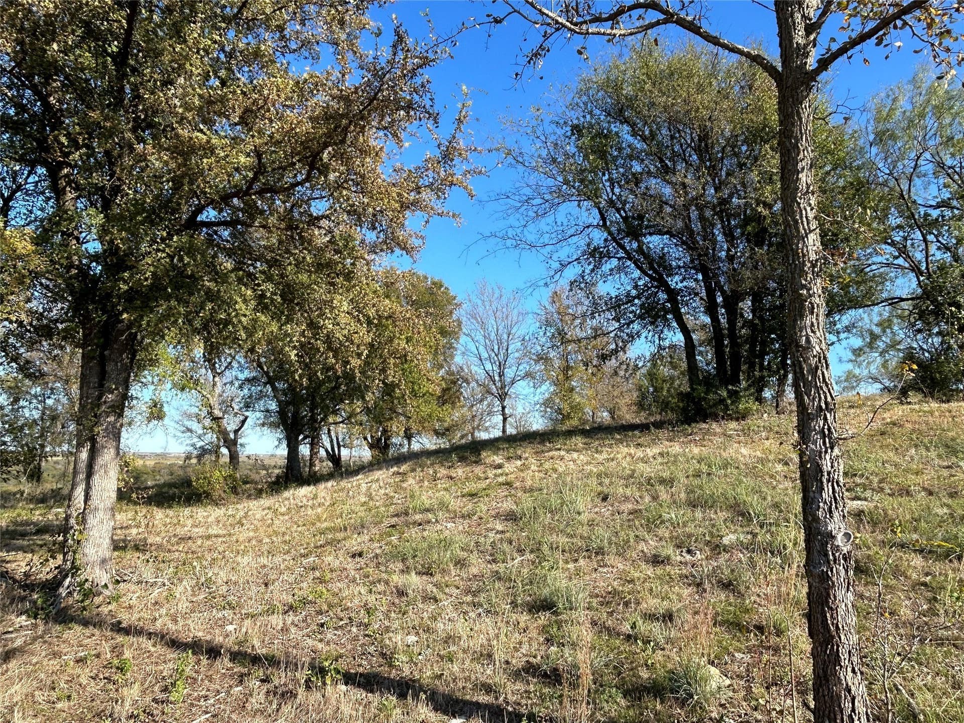 7.21 acres in Parker County