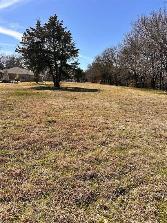 0.7 acres in Dallas County gallery image 3