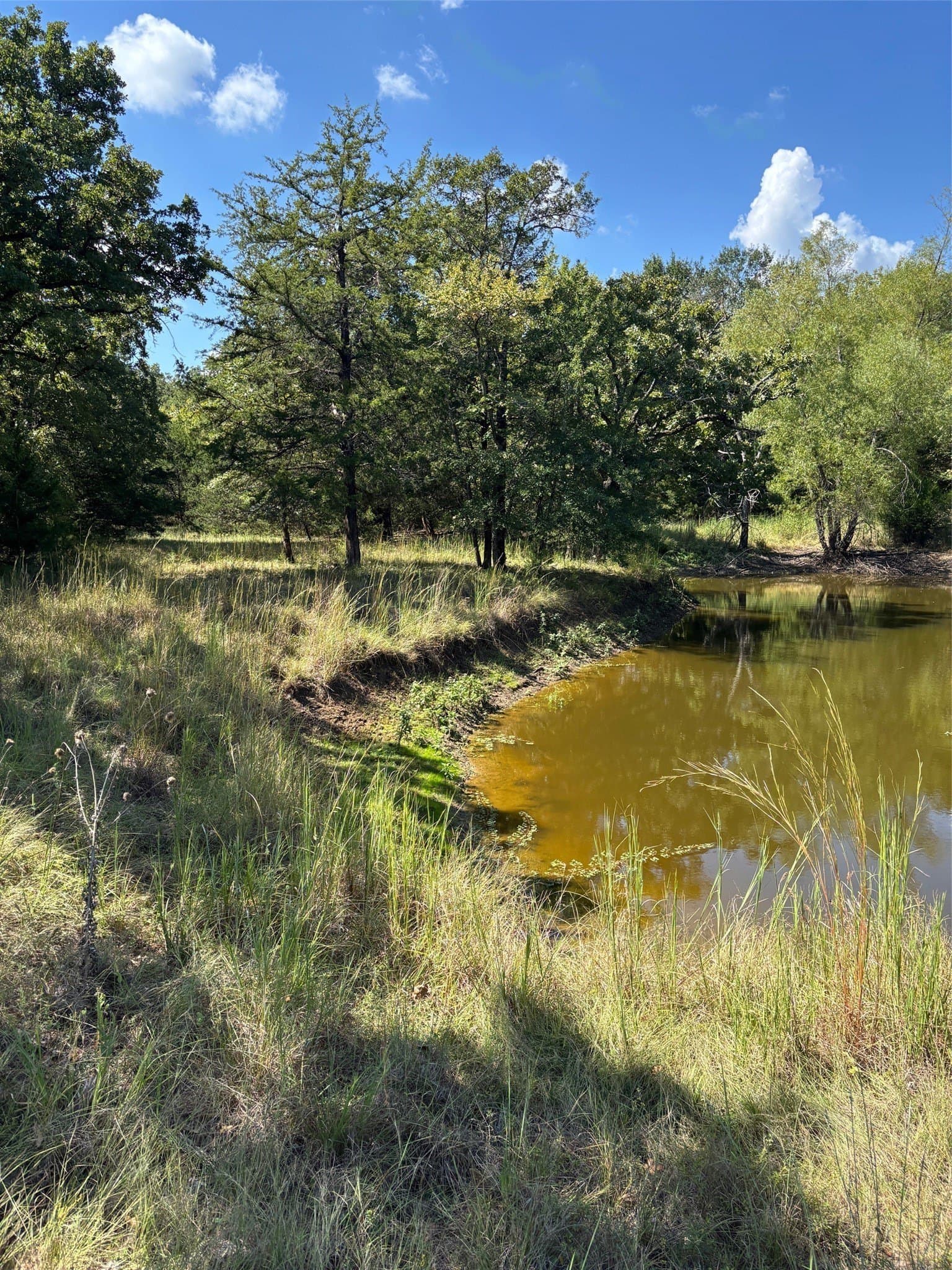 15.16 acres in Hunt County - photo 16