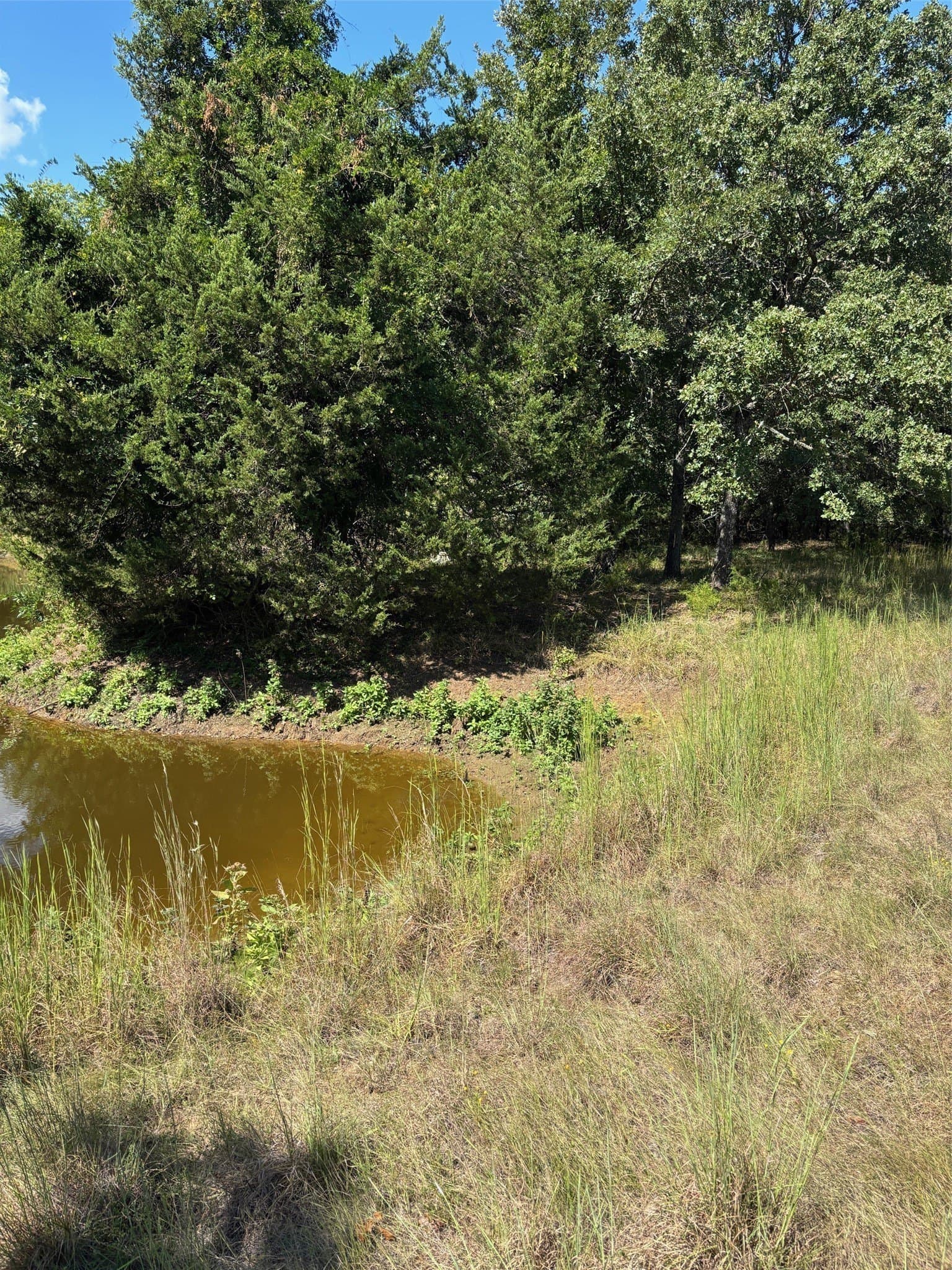15.16 acres in Hunt County - photo 18